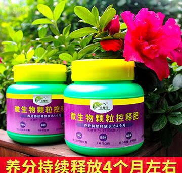 ΢�����w����ጷ�-������