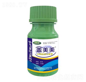 �w����5G�W�ľ۹Ȱ���-���}ͨ