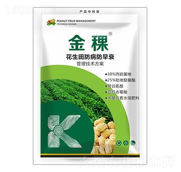 �������������˥�������g����-����-���ս�