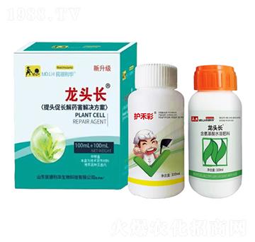 ���^���L��ˎ����Q����-���^�L-������A