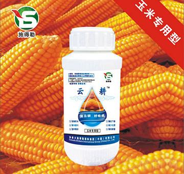 ���׌������~���-ʩ����-�Ƹ��r(n��ng)�I(y��)