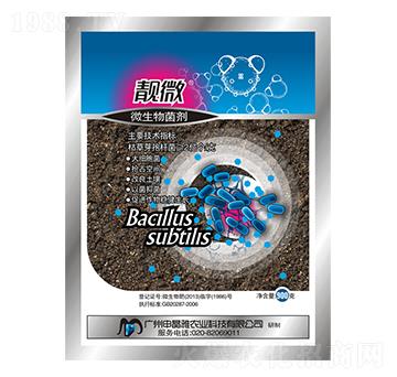 ΢�������-�n΢-�꾧��