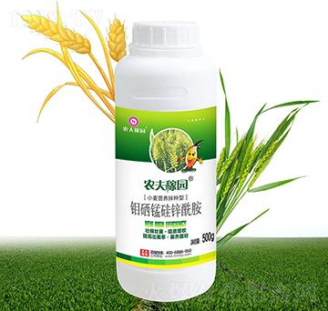 С���I(y��ng)�B(y��ng)��N��-�r(n��ng)��ڈ@