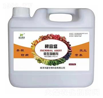 ΢�������-����ʢ-��������