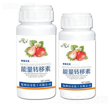 ��ݮ���������D����-�h�滯��