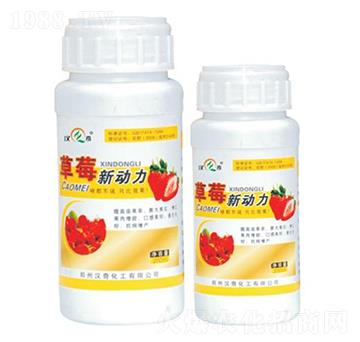 ��ݮ��(d��ng)��-�h�滯��