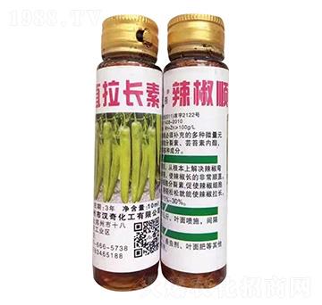 �����ֱ���L(zh��ng)��-�h�滯��