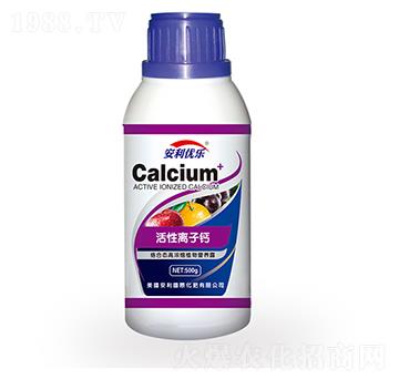 �����x���}-������(y��u)��-�֠�