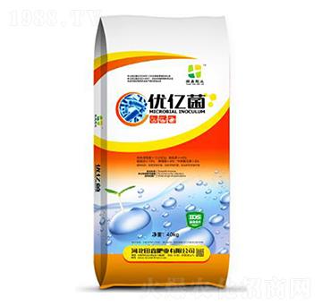 10�|��(y��u)�|��-���ηʘI(y��)