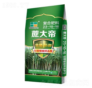 �ͺϷ���23-10-16-����-����