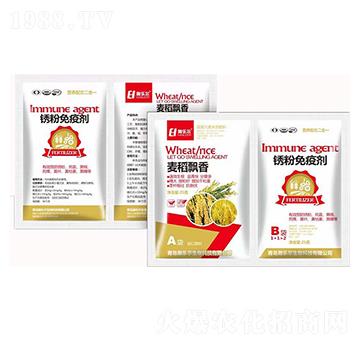 �����h��+�P�����߄�-嫘�(l��)��