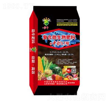 �ͺ�΢�������-�Є�17̖-��ţ