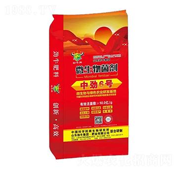 ΢�������-�Є�6̖(h��o)-��ţ