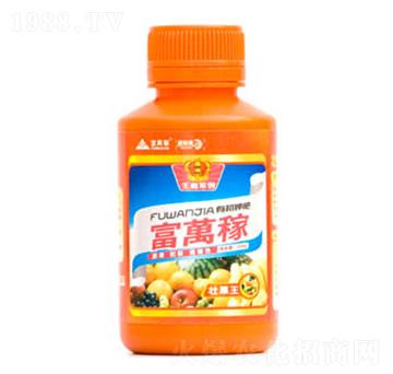 �ѹ���-���f�