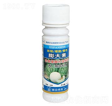 ��������ό���-���������-����ʘI(y��)