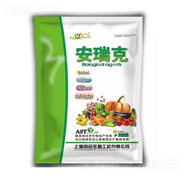 �����ֲ������-�������