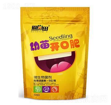 �����������_�ڷ�-�������