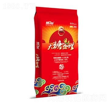 ����ʢ��-�������