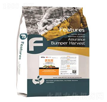 ���Ȱ�-�������