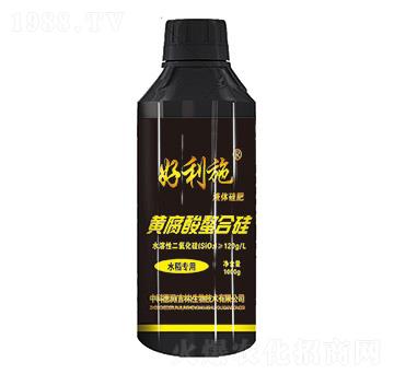 �S�������Ϲ�-���ʘI(y��)