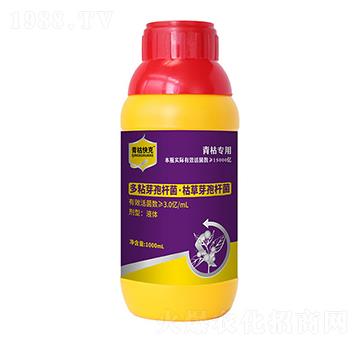 ��ճѿ�ߗU��+�ݲ�ѿ�ߗU��-��ݿ��-�۟o��