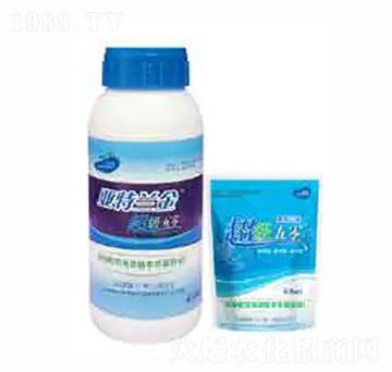 ����(j��)����-��������