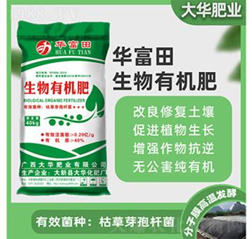 �����ЙC(j��)����-�A����-���A����