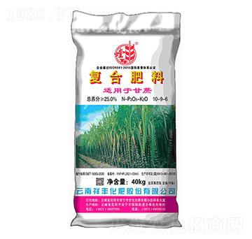 �����m�ÏͺϷ���10-9-6-��S-���黯��