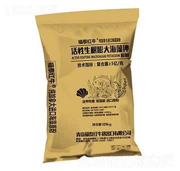 ��������������-��̩�tţ