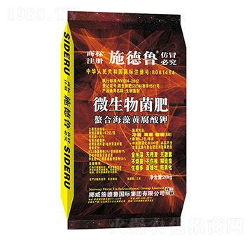 ���Ϻ����S�����΢�������-��̩�tţ