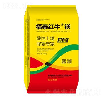 ���������ޏ�(f��)����-��̩�t�����V