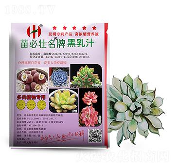 ����֭�ߝ�s����ֲ��I�B(y��ng)Һ-��؉�