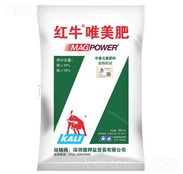 �tţΨ����-���·���