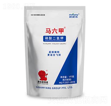 ��������-�R����-Сħ��