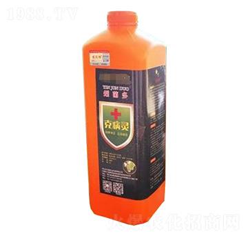 �˲��`-����-�r�־G�r�I(y��)