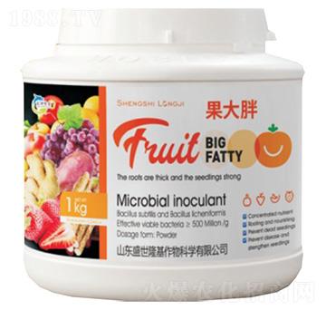 ������-ʢ��¡��