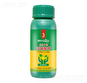 �������-���۶���-��