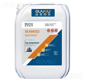 ΢�������-���塤���}����ЙC(j��)�-�ȃ�(y��u)ؐ��