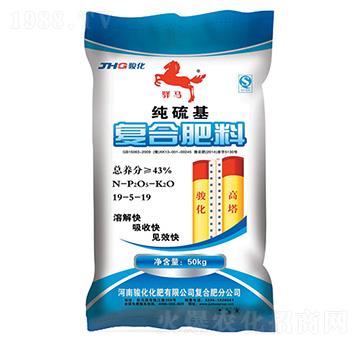 �ͺϷ���19-5-19-�A�R-�E��