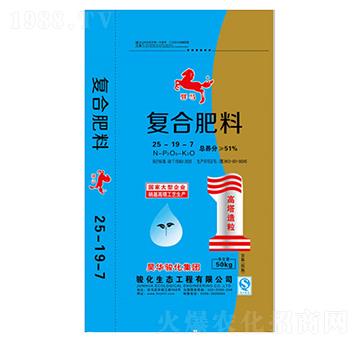 �ͺϷ���25-19-7-�A�R-�E��