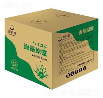 ����ԭ�{-������