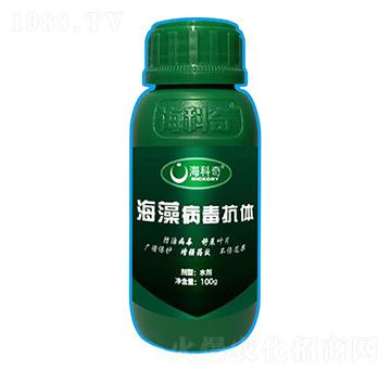 ���岡�����w-������