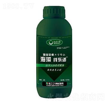 ���往��(l��)�m-������