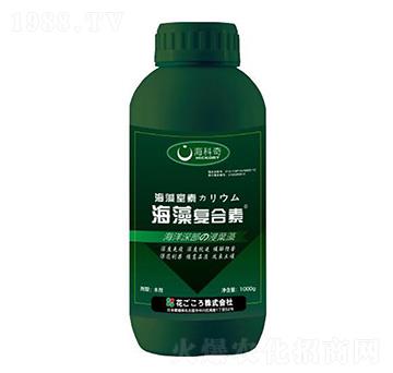 �����(f��)����-������