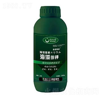 ���嵪�-������