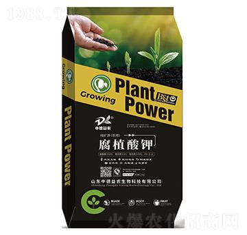 ��ֲ���-�е����r(n��ng)