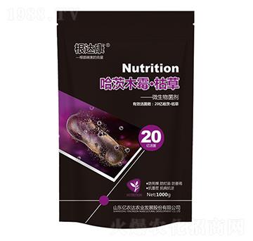 ����ľù�����ݲ�-���_(d��)��-�|�r(n��ng)�_(d��)�r(n��ng)�I(y��)