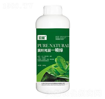 �S�~����һ���G-�g��-�|�r�_�r�I(y��)