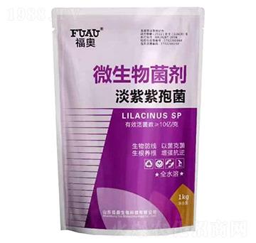 ΢�������-�������߾�-���W