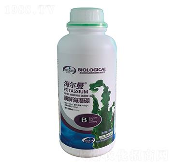 ø�⺣����-������-����˹